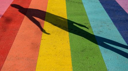 La orientación sexual no se elige