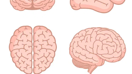 Neurosexismo, preguntas incomodas